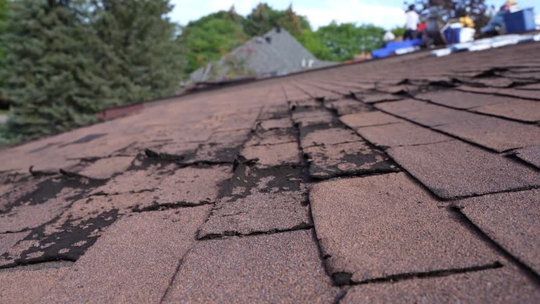 Best Roof Maintenance and Cleaning  in Hanna City, IL